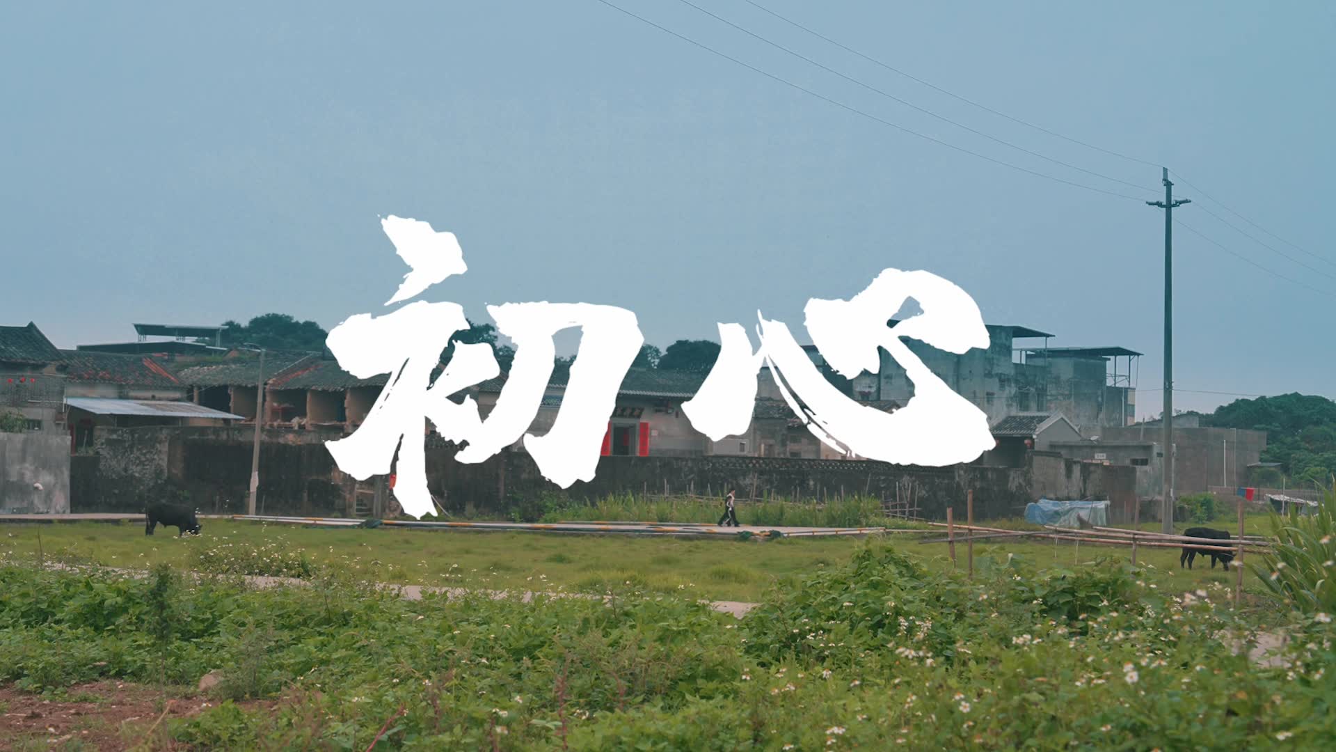 血气十年 不止十年：初心篇